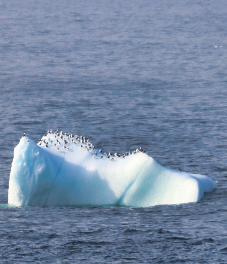 Paul James Bannerman - Ziua 3, 8 august:  Muzeul National al Groenlandei – Croaziera pe fiordul de gheata